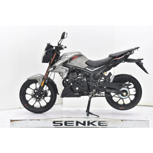 Мотоцикл Regulmoto Majesty