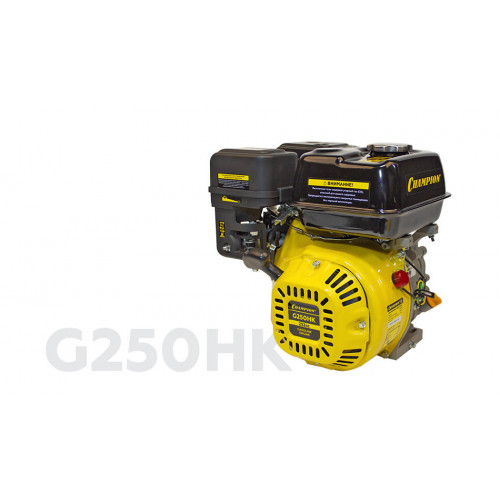 Двигатель CHAMPION G250HK
